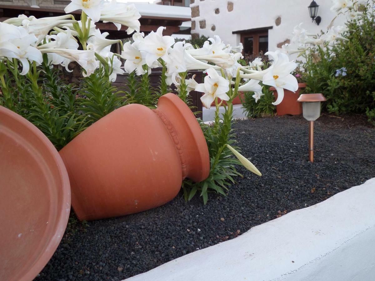 Finca De Los Abuelos Guatiza Ngoại thất bức ảnh